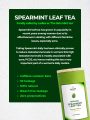 Naveen Organic Spearmint Leaf Tea container with text explaining its benefits for women’s hormonal balance and acne reduction.