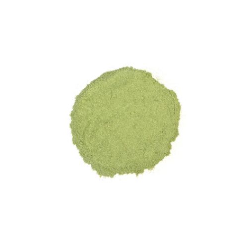 Finely milled alfalfa leaf powder in light green color on a white background.