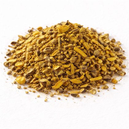 Pile of dried barberry root bark on white textured background