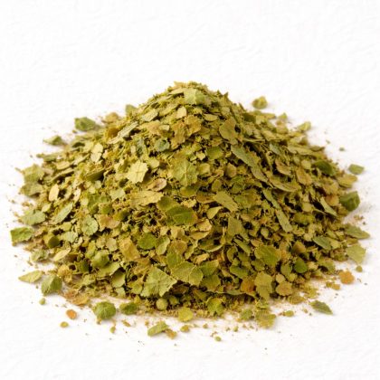 Pile of dried birch leaf on white textured background