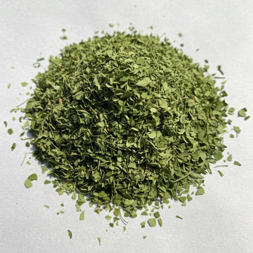 Pile of dried moringa leaves from Naveen Herbs on white background