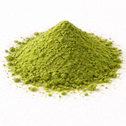 Pile of wheatgrass powder on white textured background
