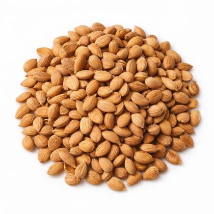 Pile of dried bitter apricot kernels on a white background.
