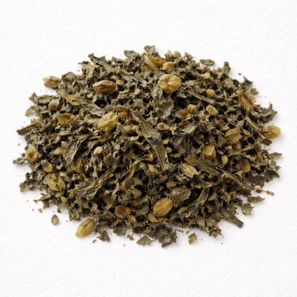 Pile of dried bladderwrack seaweed on white textured background