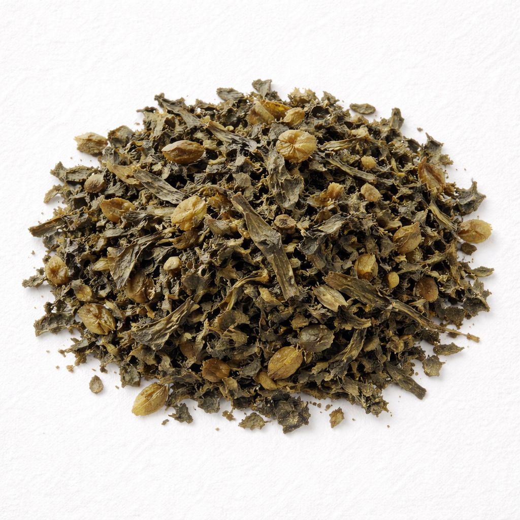 Pile of dried bladderwrack seaweed on white textured background