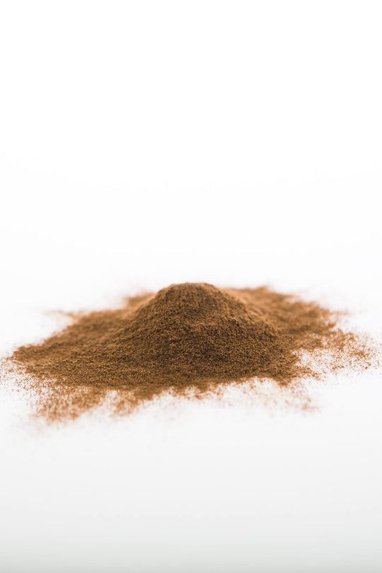 Pile of chaga mushroom powder from Naveen Herbs on a white background