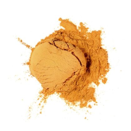 Pile of cordyceps mushroom powder from Naveen Herbs on a white background