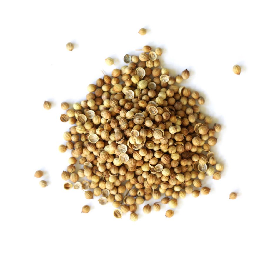 Pile of coriander seeds from Naveen Herbs on a white background