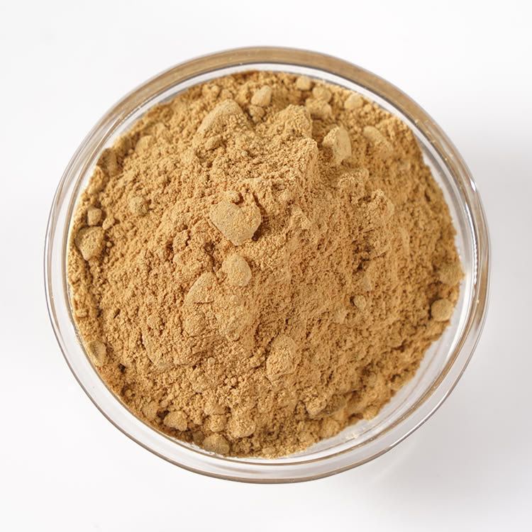 Pile of devil’s claw root powder from Naveen Herbs on a white background