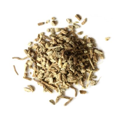 Pile of dried echinacea angustifolia root on a white background