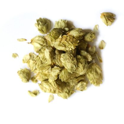 Pile of dried hops on a white background