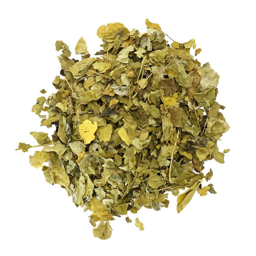 Pile of dried moringa leaves on a white background