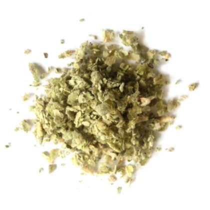 Pile of dried mullein leaves on a white background